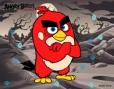 Red de Angry Birds