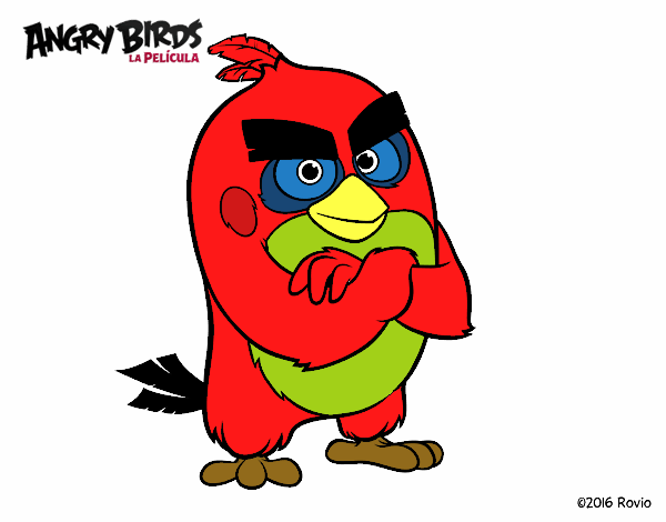 Red de Angry Birds