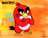 Red de Angry Birds