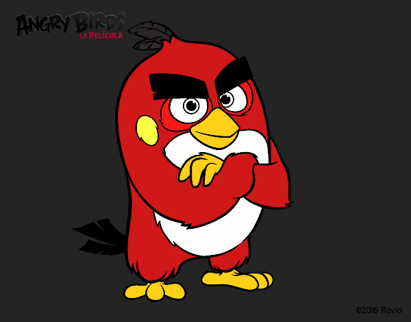 Red de Angry Birds