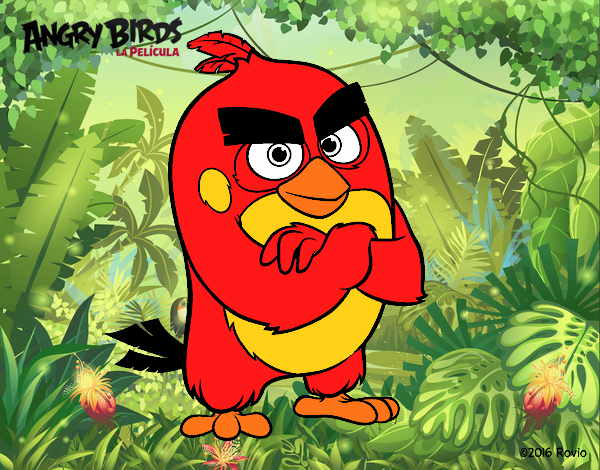 Red de Angry Birds