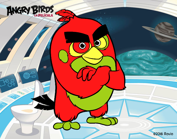 Red de Angry Birds