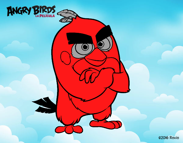 Red de Angry Birds