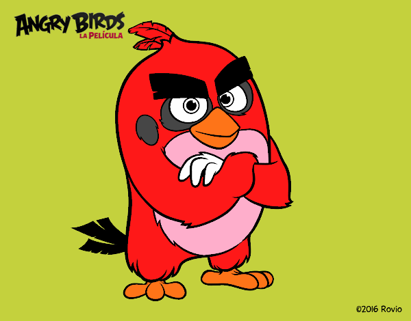 Red de Angry Birds