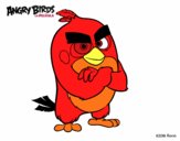 Red de Angry Birds