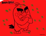 Red de Angry Birds