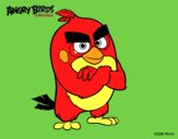 Red de Angry Birds