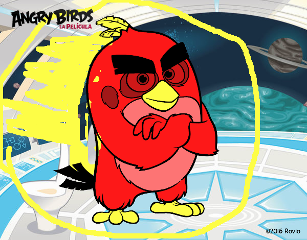 Red de Angry Birds