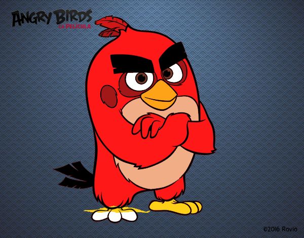 Red de Angry Birds