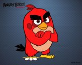 Red de Angry Birds