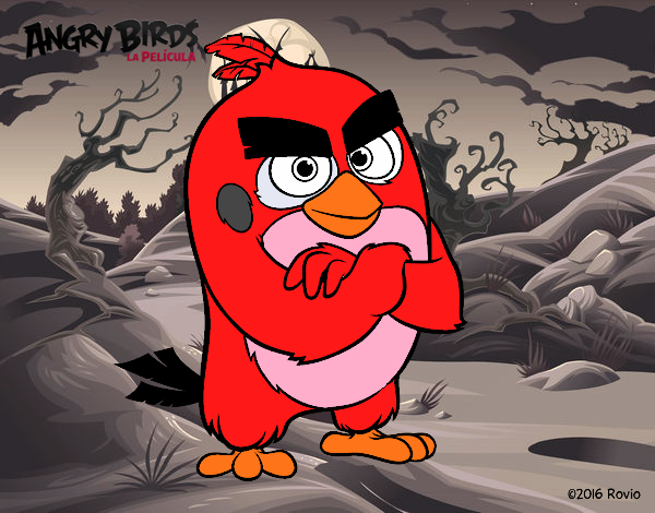 Red de Angry Birds