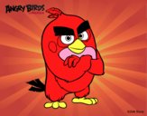 Red de Angry Birds