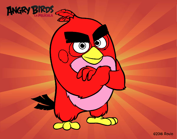 Red de Angry Birds