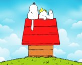 Snoopy durmiendo