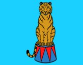 Tigre de circo