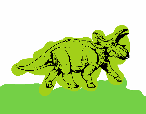 Triceratops 1