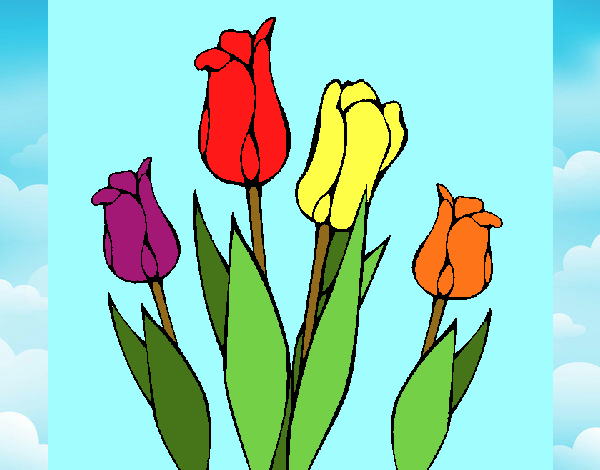 Tulipanes