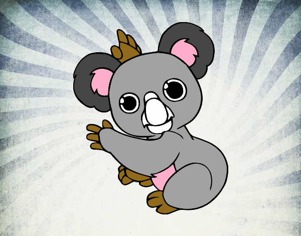 Un Koala