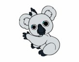 Un Koala