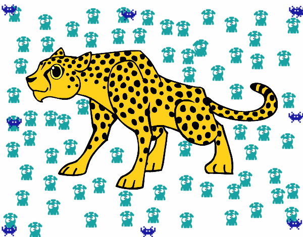 Un leopardo