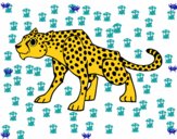 Un leopardo