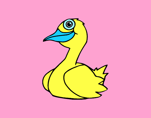 Un pato