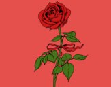 Dibujo Una rosa pintado por LVPJ