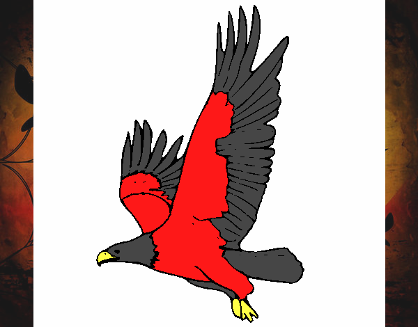 Águila volando