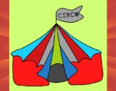 Circo