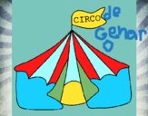 Circo