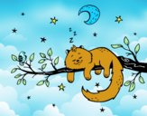 El gato y la luna