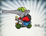 Elefante en moto