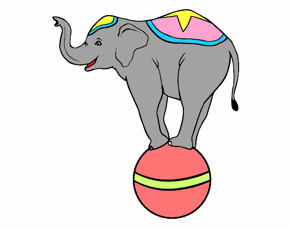 Elefante equilibrista