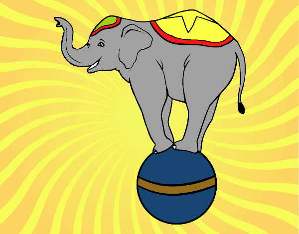 elefante