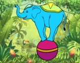 Elefante equilibrista