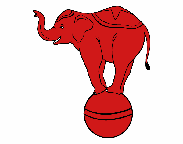 Elefante equilibrista