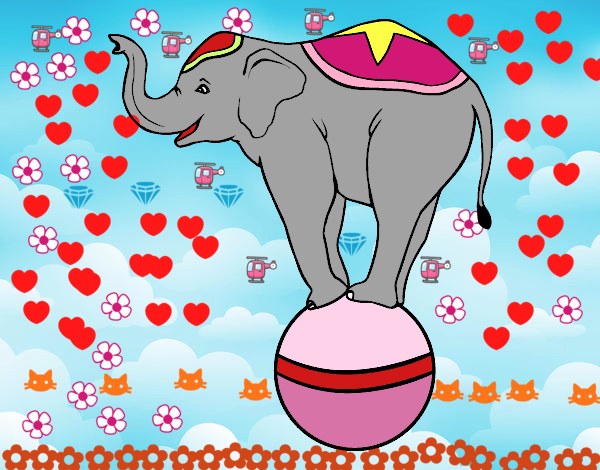 Elefante equilibrista