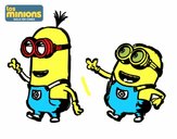 Minions - Tom y Dave