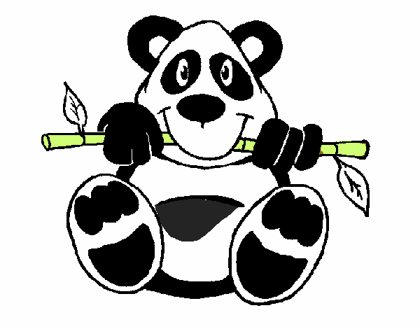 Oso panda