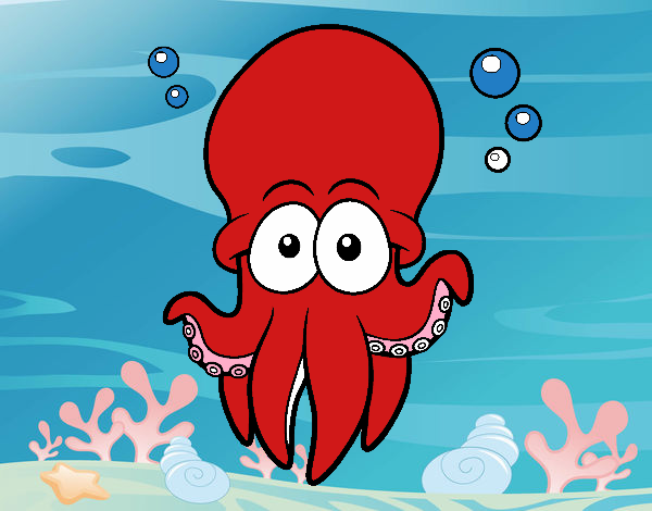 Pulpo rojo