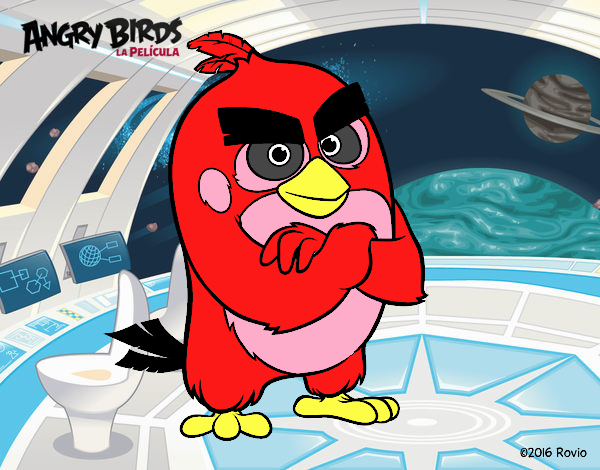 Red de Angry Birds