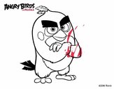 Red de Angry Birds