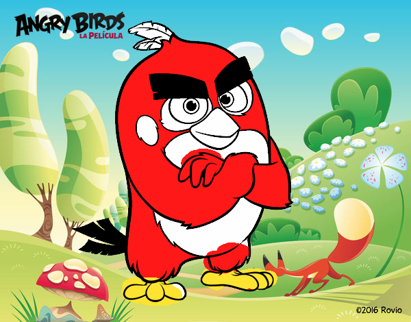 Red de Angry Birds