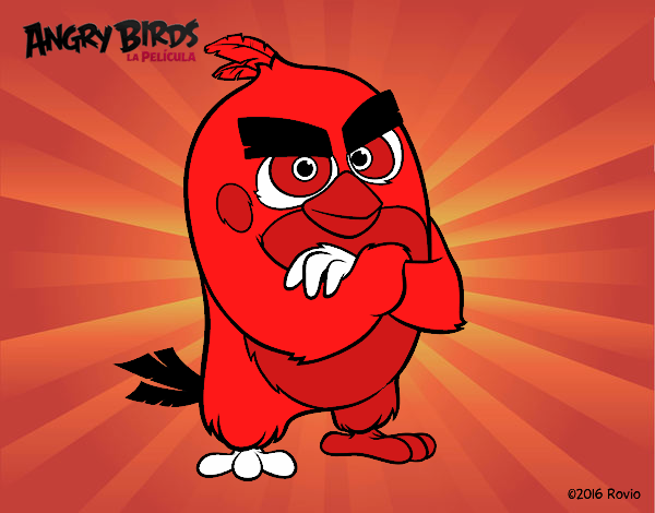 Red de Angry Birds