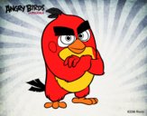 Red de Angry Birds