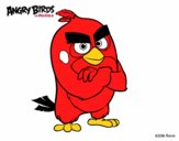 Red de Angry Birds