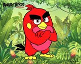 Red de Angry Birds