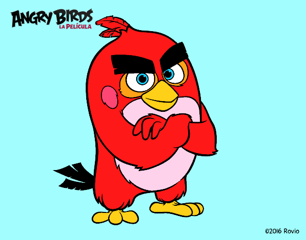 Red de Angry Birds