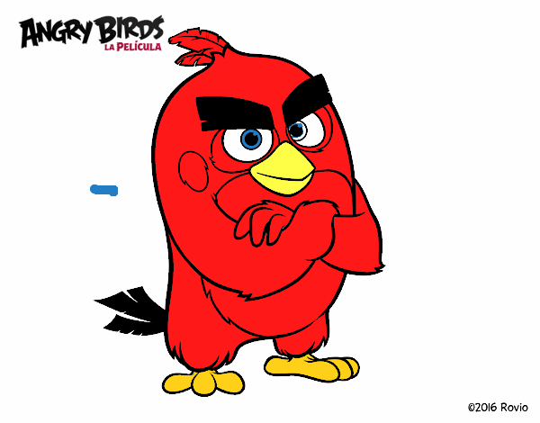 Red de Angry Birds