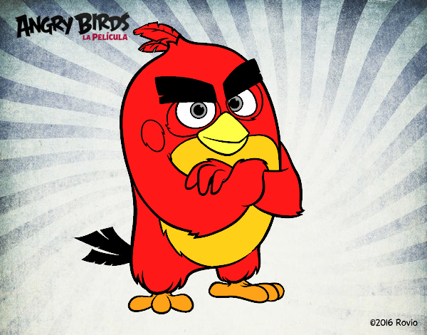 Red de Angry Birds